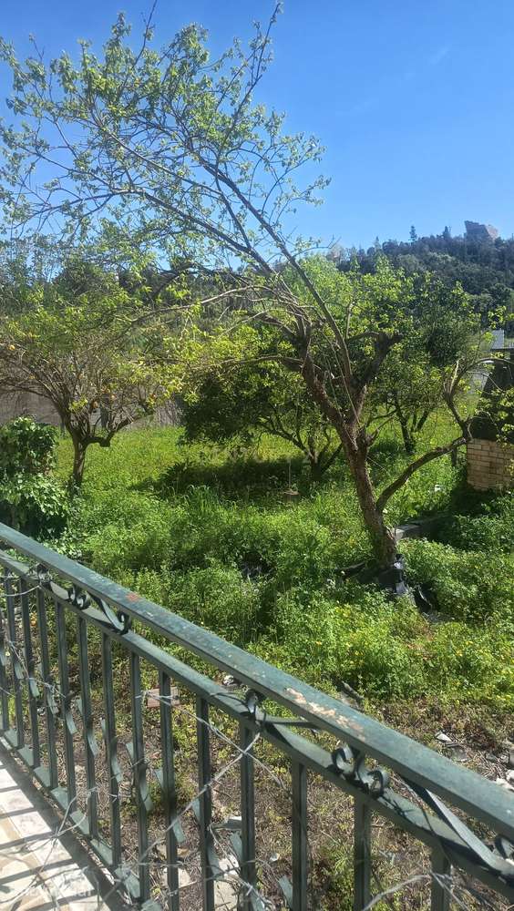 Oportunidade Única - Moradia com terreno nas Olhalvas, Leiria - Grande imagem: 5/9