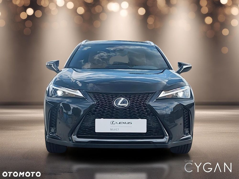 Lexus UX 250h GPF F Sport Design 2WD - 10