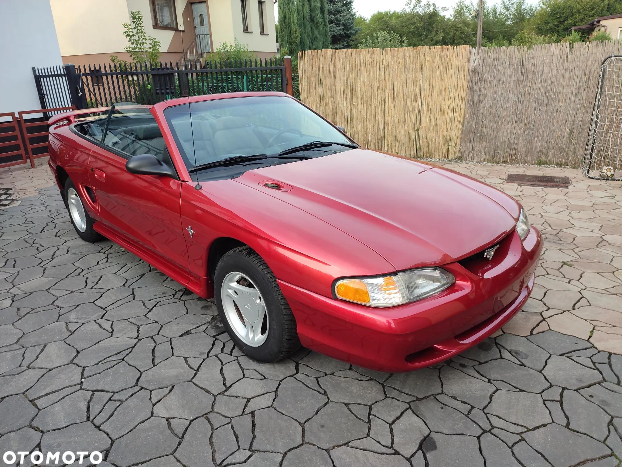 Ford Mustang - 11