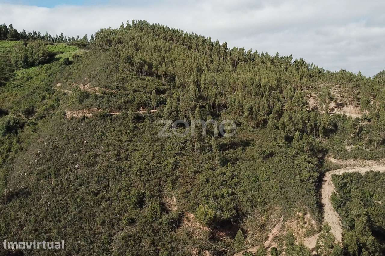 Terreno rústico em Alferce, Monchique - Grande imagem: 5/15