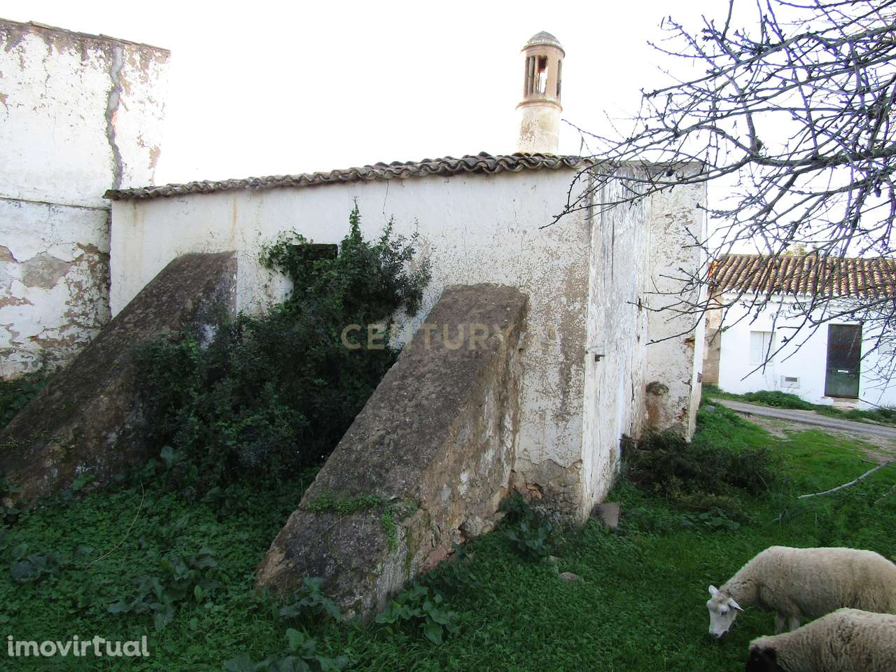 Moradia para restaurar - Grande imagem: 5/7