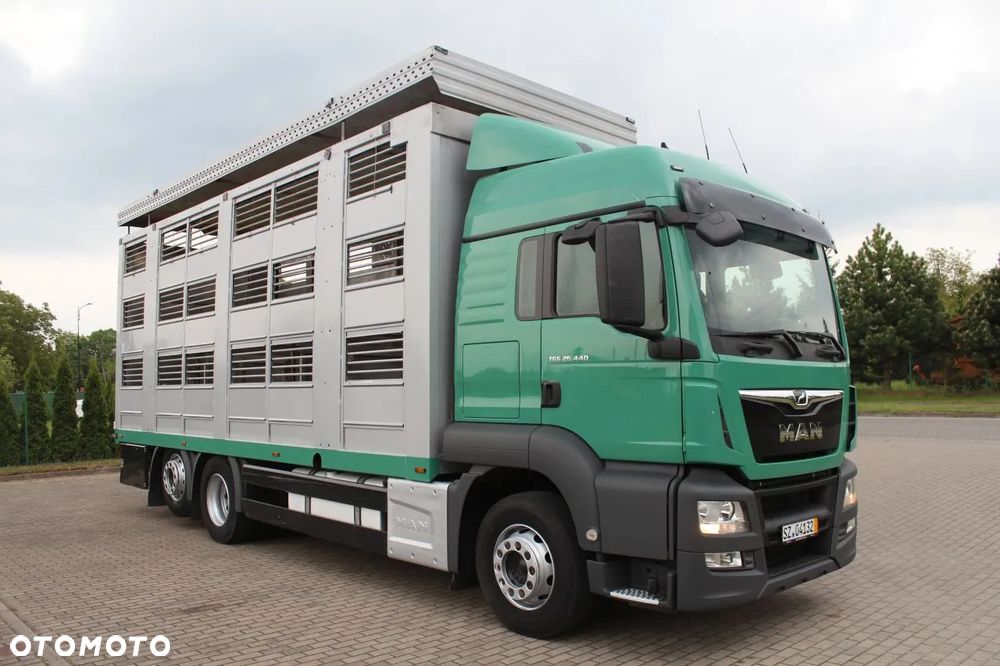 MAN TGS 26.440 DO ŻYWCA ZWIERZĄT BYDŁA Z NIEMIEC - 5
