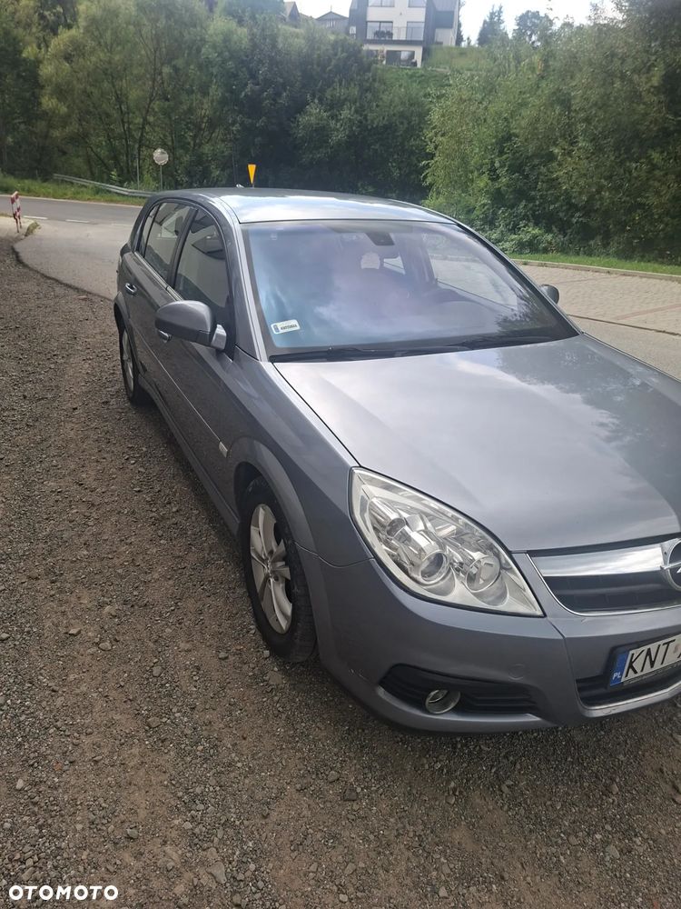Opel Signum 1.9 CDTI Cosmo - 2