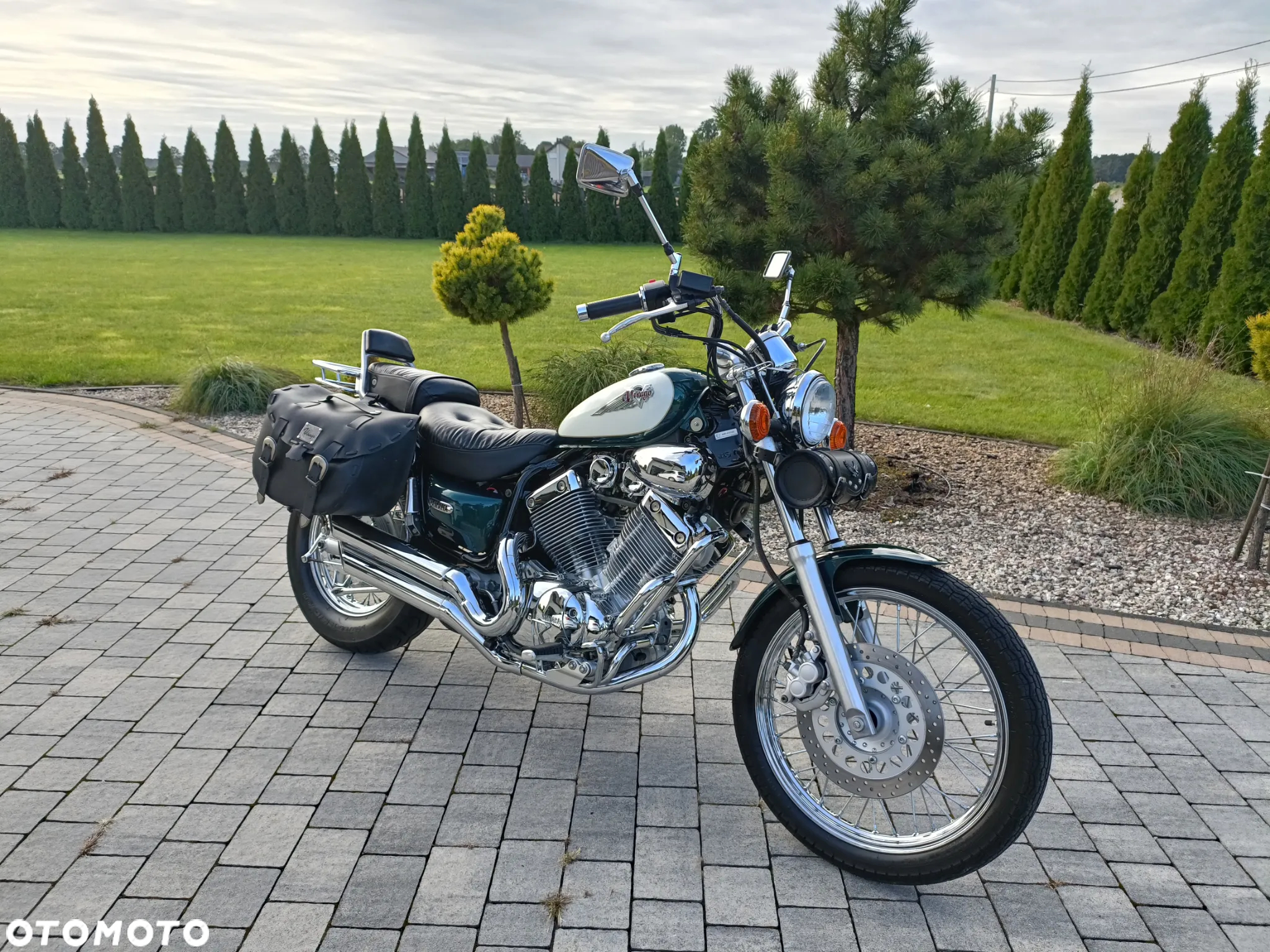 Yamaha Virago - 9