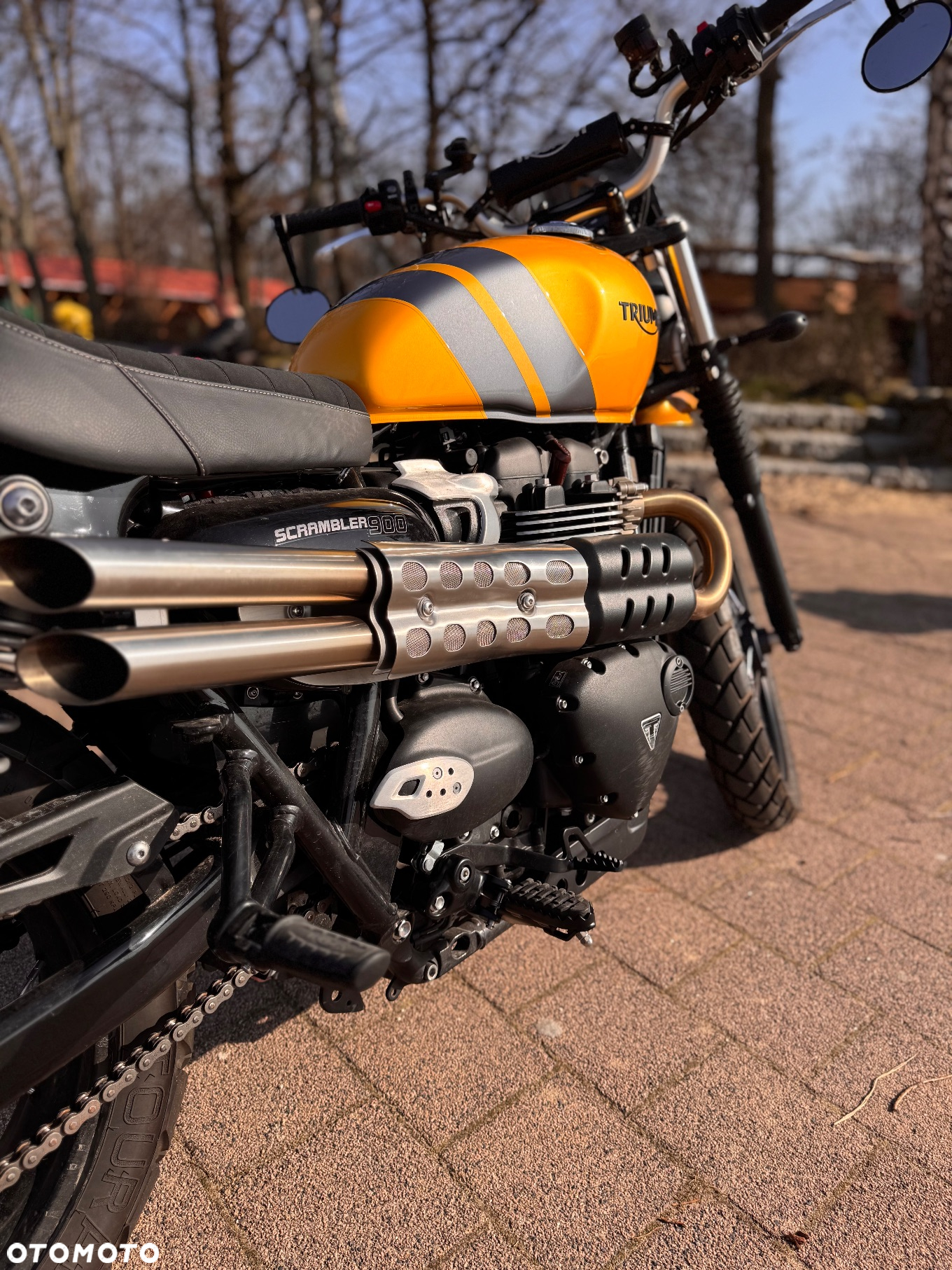 Triumph Scrambler