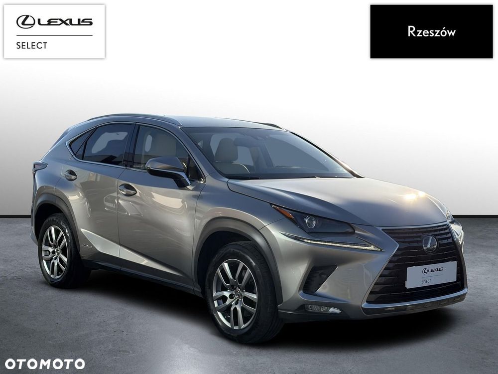 Lexus NX 300h Comfort AWD - 7