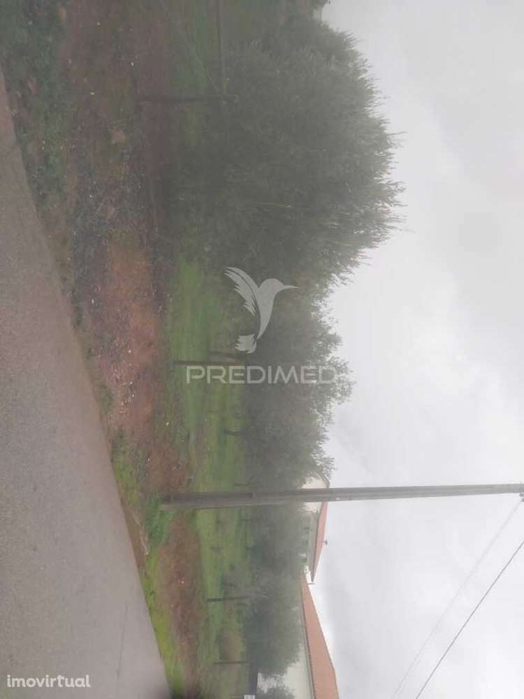 Terrno/Olival com Viabilidade de Construção - Grande imagem: 3/17