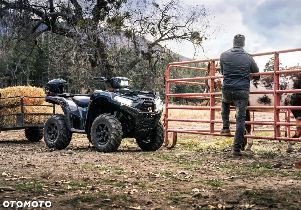 Kawasaki Brute Force - 12