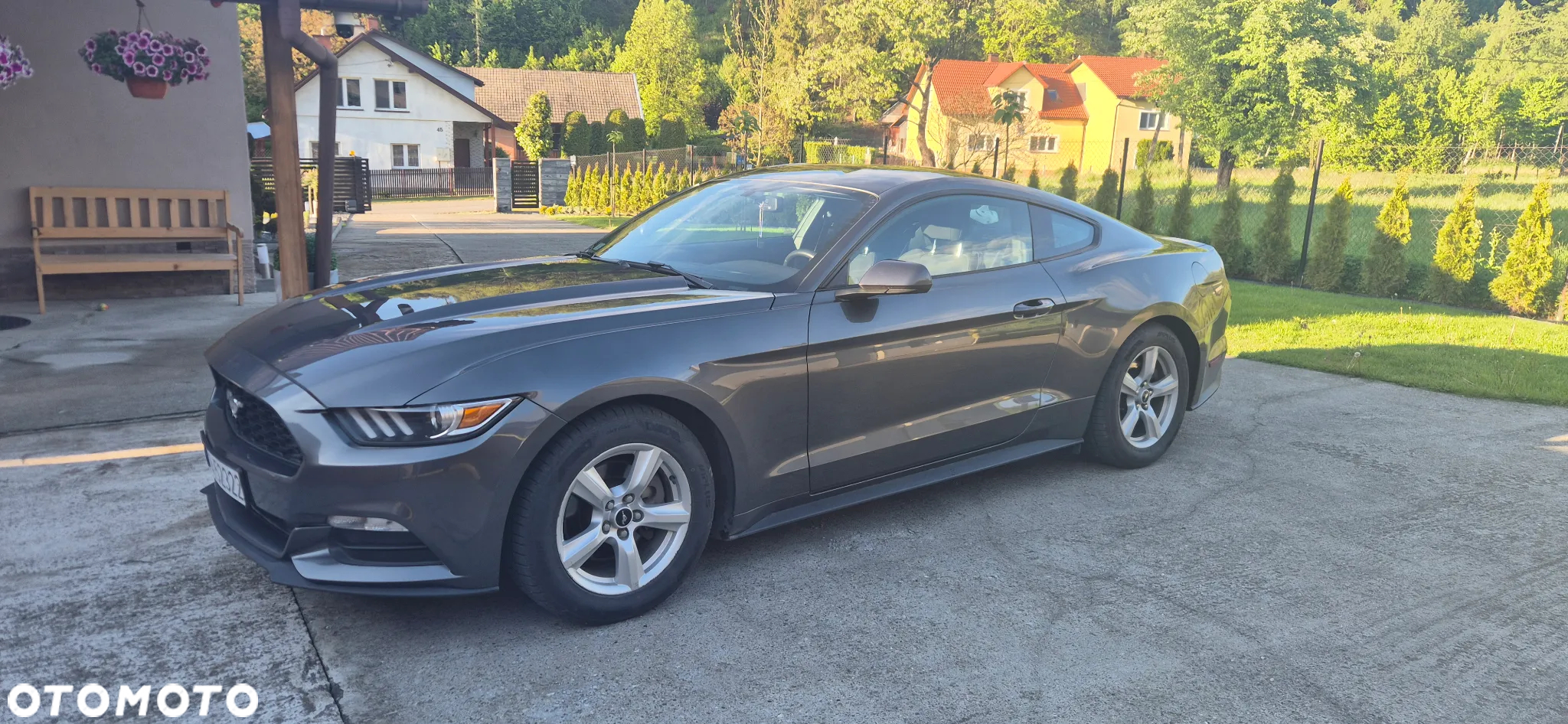 Ford Mustang - 14