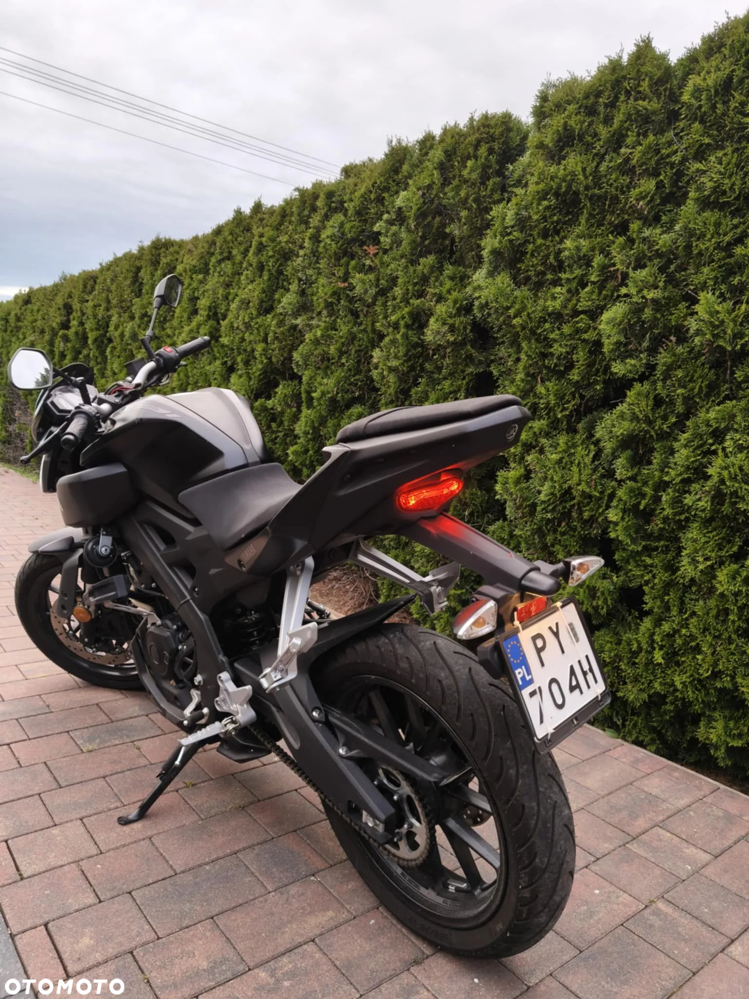 Yamaha MT - 3