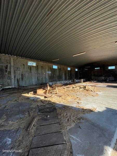 Arrendamento – Espaço Industrial/Armazém - Grande imagem: 3/10