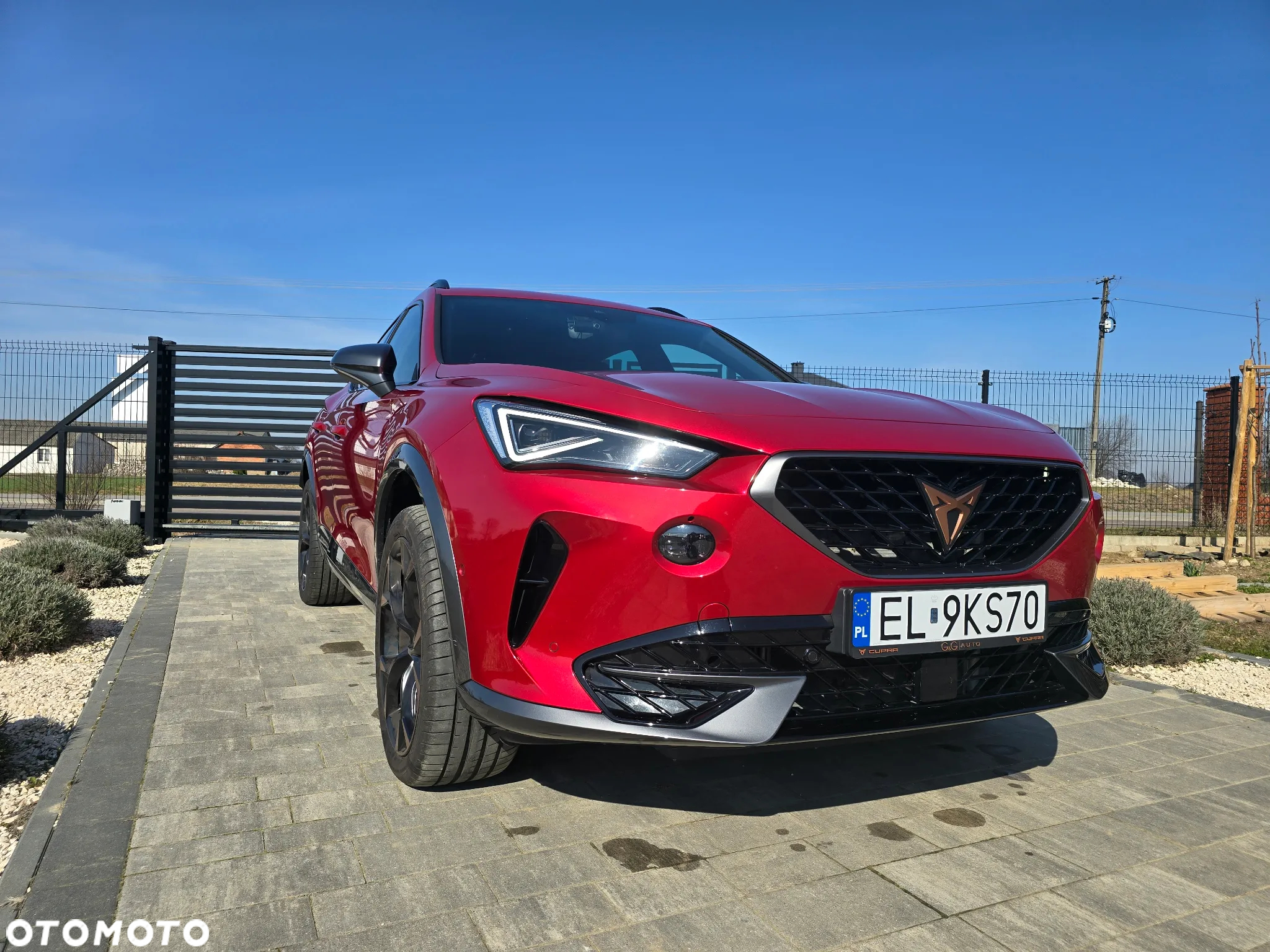 Cupra Formentor 2.0 TSI 4Drive DSG - 3