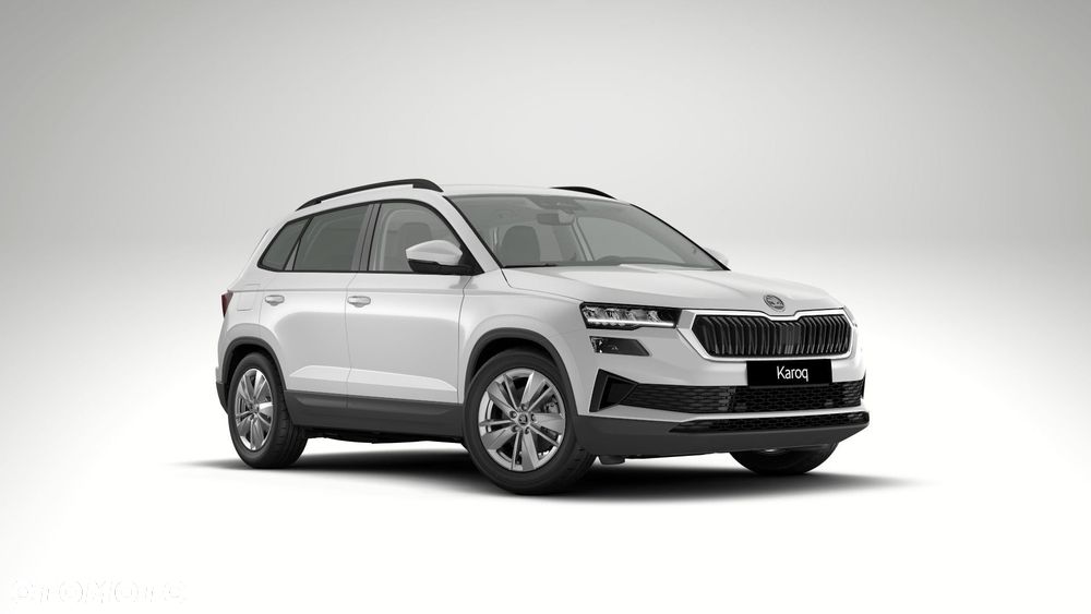 Skoda Karoq - 2