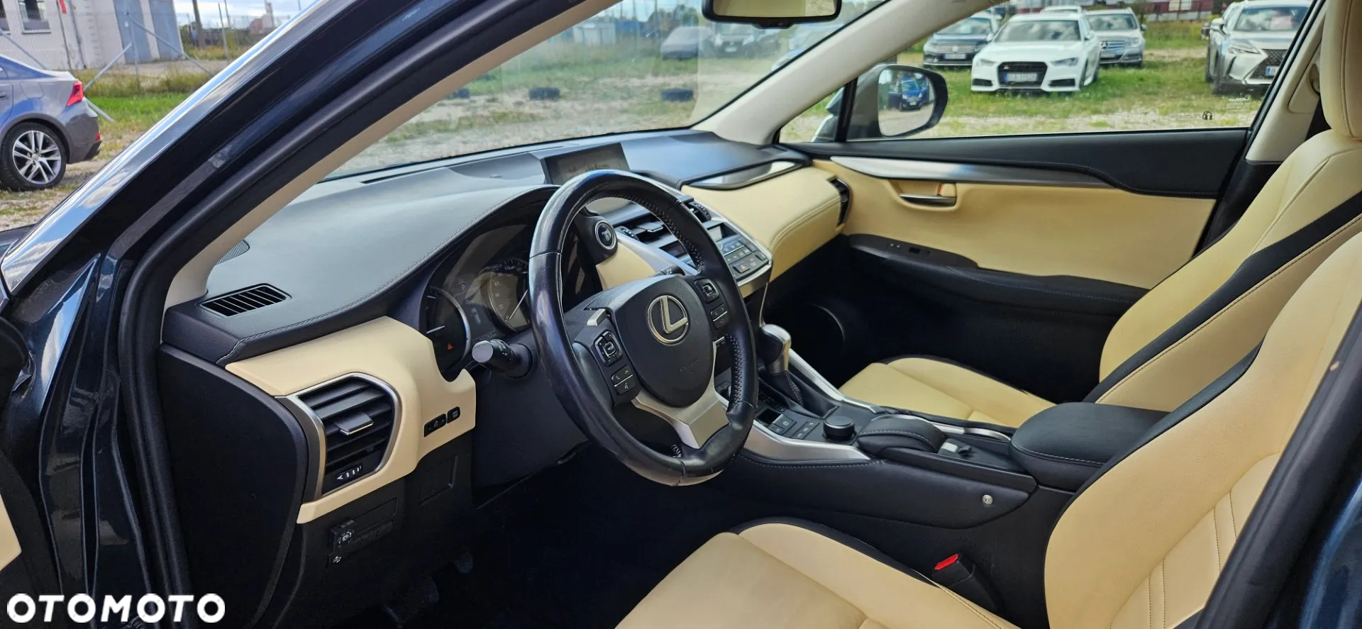 Lexus NX 300h Business Edition AWD - 18