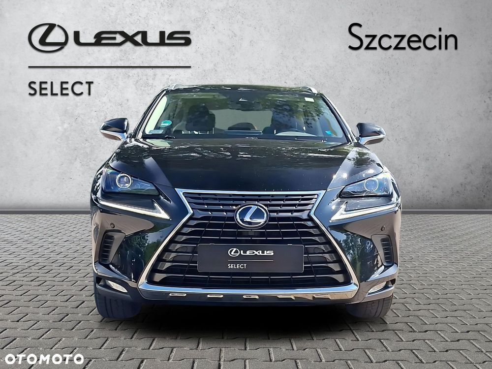 Lexus NX 300h Business Edition AWD - 8