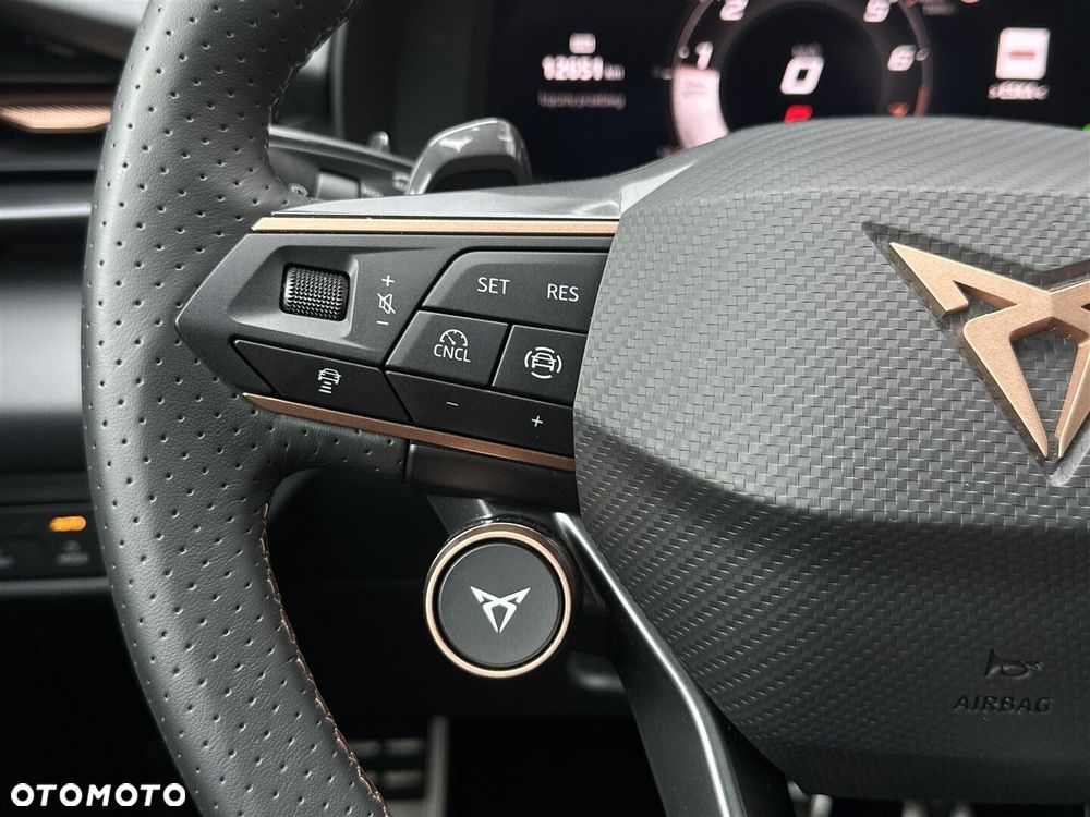 Cupra Terramar 2.0 TSI 4Drive VZ DSG - 17