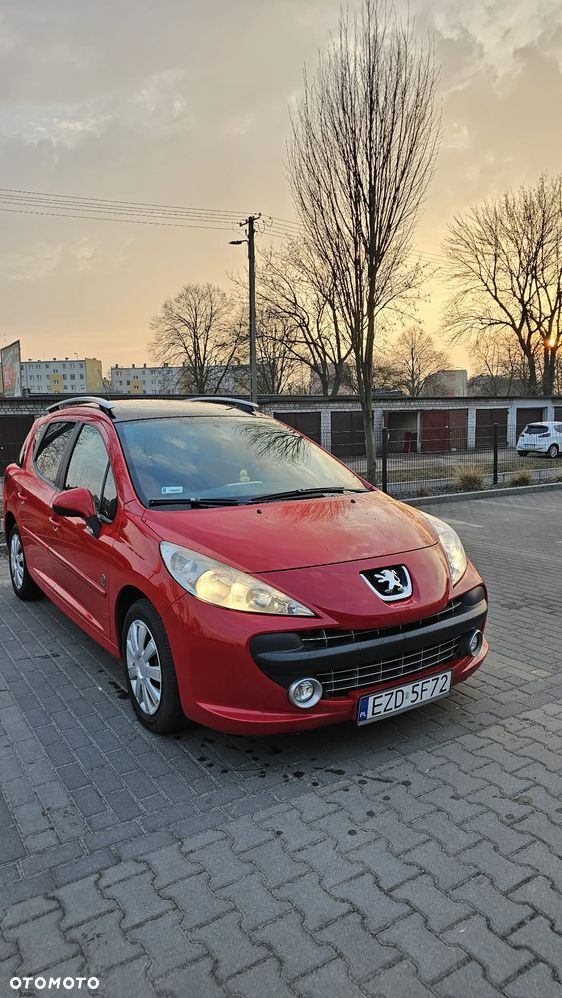 Peugeot 207 - 3