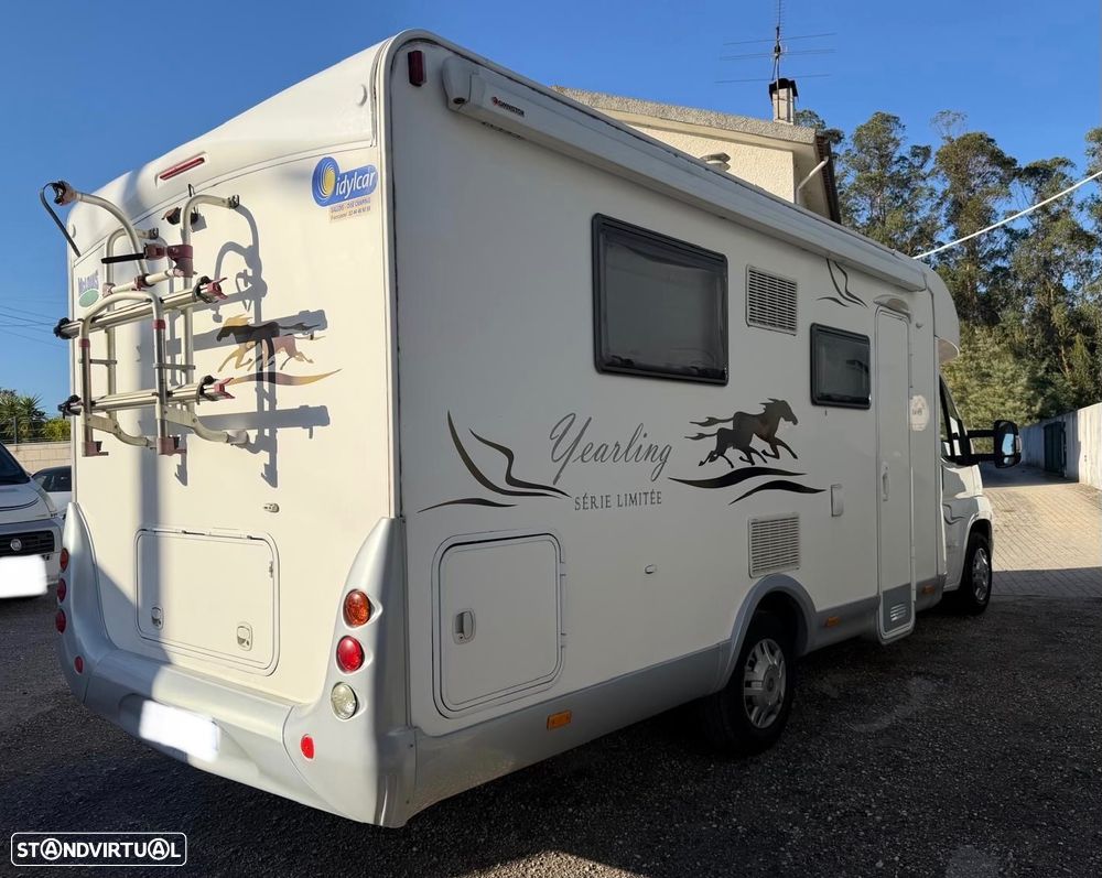 McLouis Yearling Limited Edition - 5