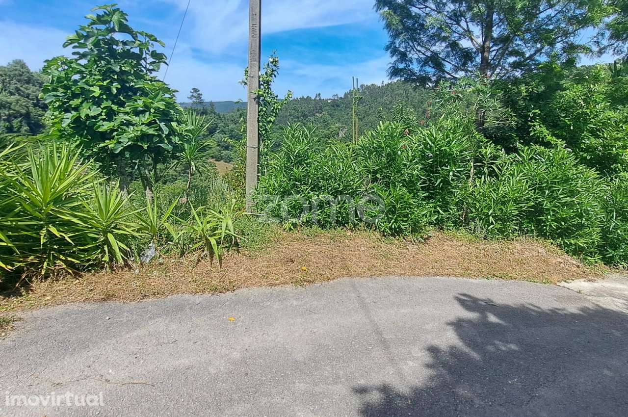 .Terreno Rustico | Bera |Almalaguês - Grande imagem: 2/22