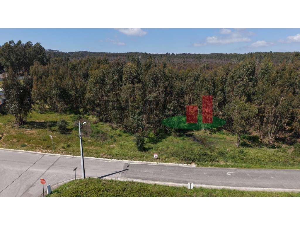 Terreno rústico Asseiceira***RIOMAGIC*** - Grande imagem: 5/20