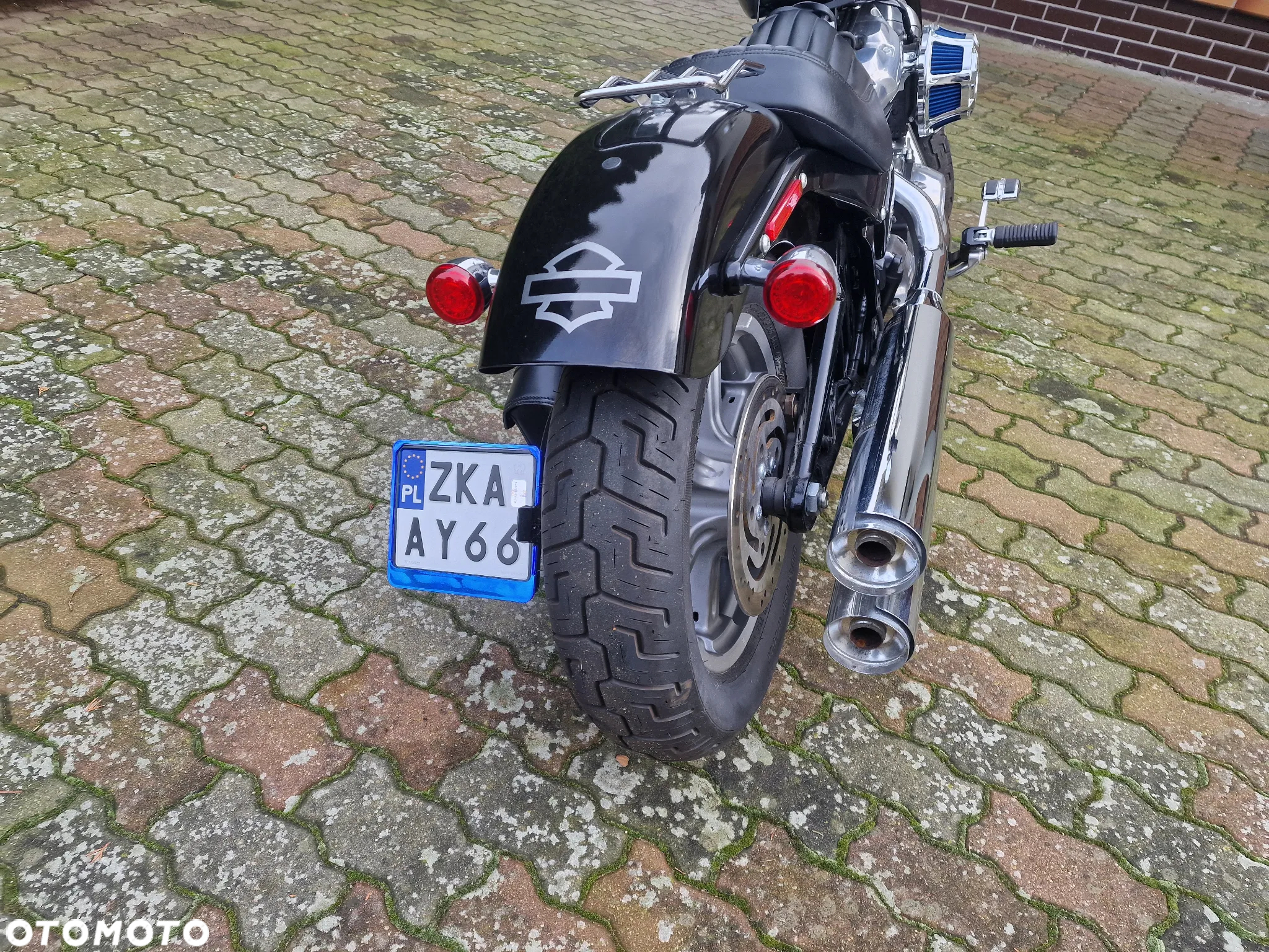 Harley-Davidson Softail - 3