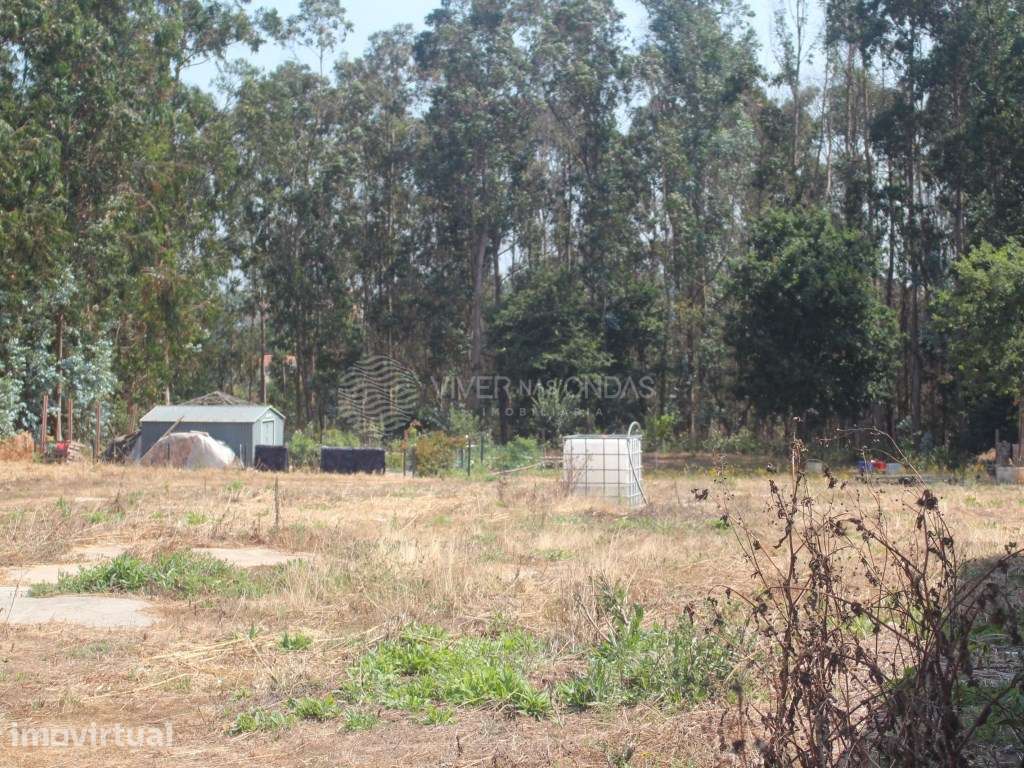 Terreno para construção em Árvore - Vila do Conde. - Grande imagem: 3/18
