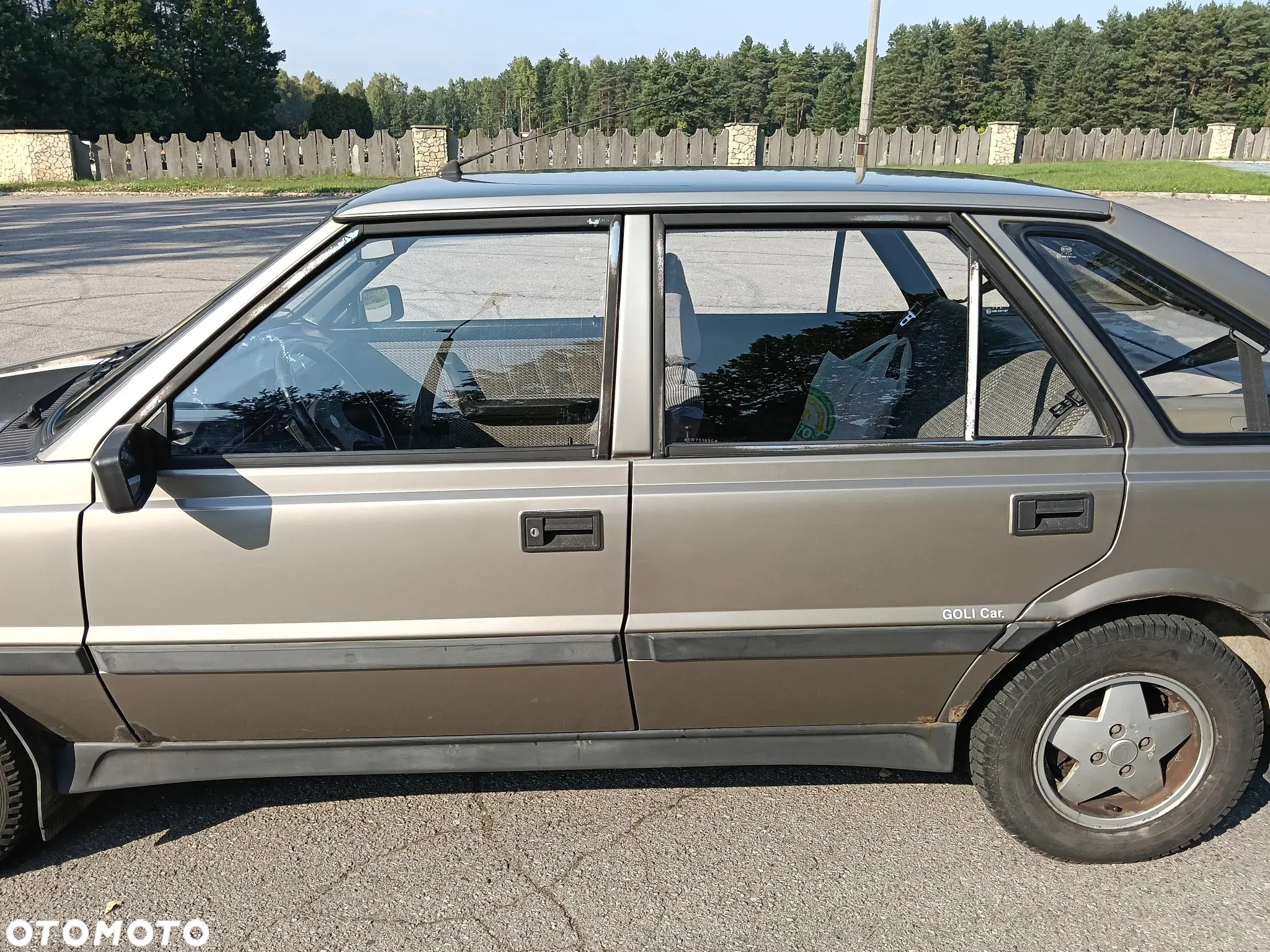 Polonez Caro - 12