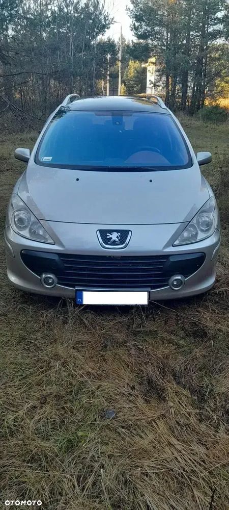 Peugeot 307 1.6 Premium - 1