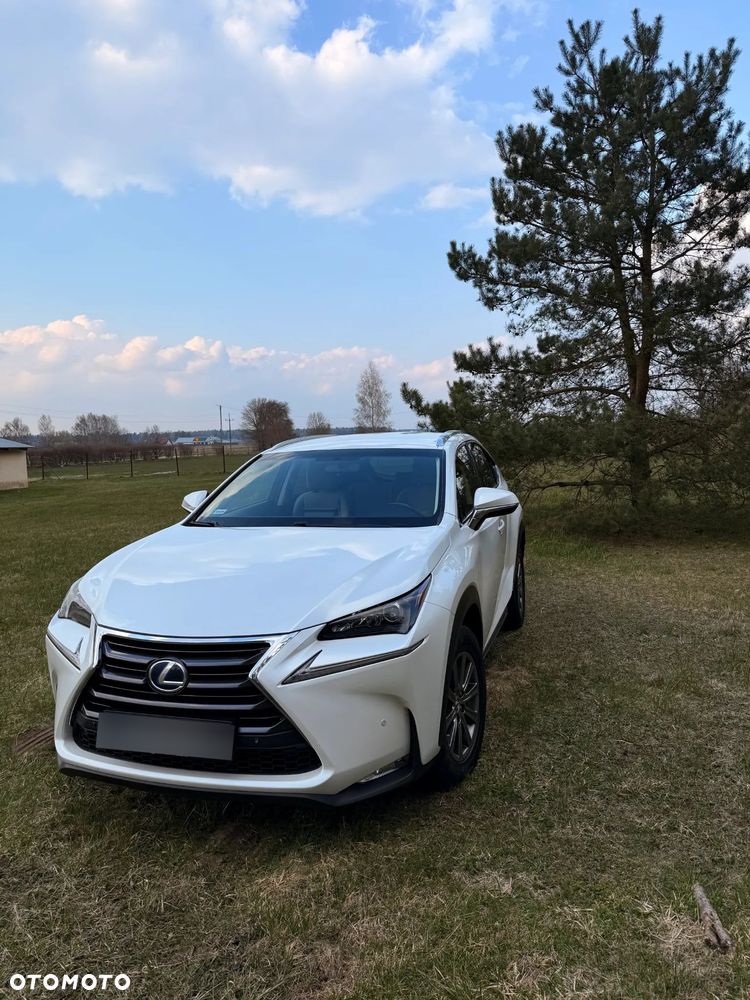 Lexus NX 300h Comfort AWD - 4