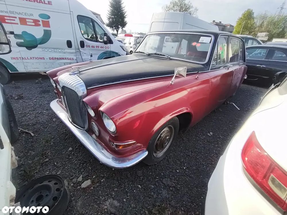 Jaguar Inny - 11