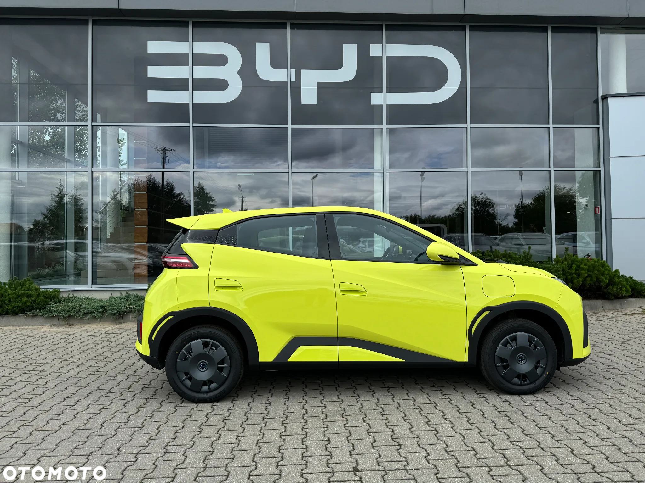 BYD Dolphin Surf - 9