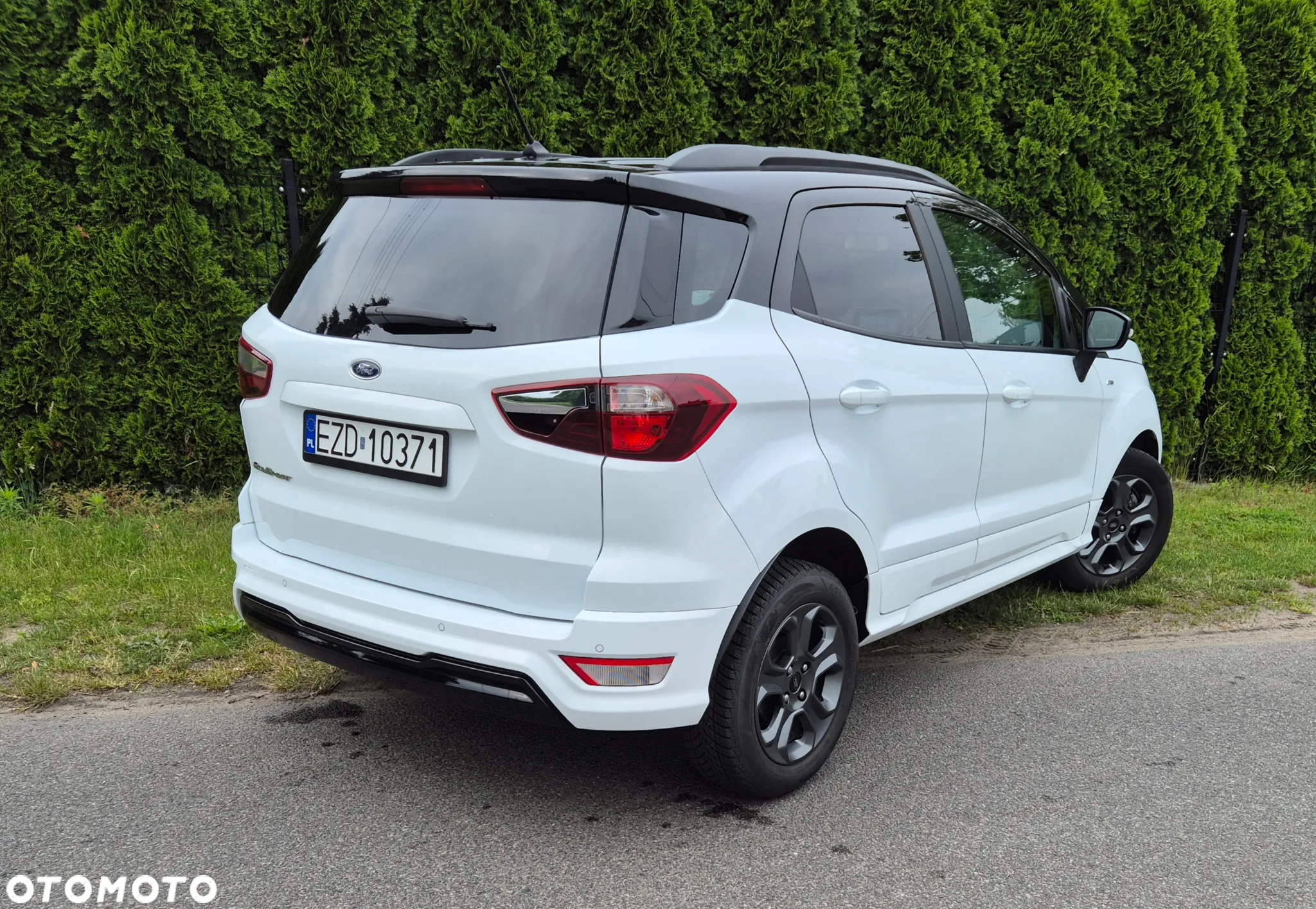 Ford Fiesta - 19