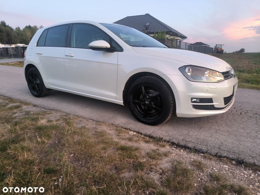 Volkswagen Golf 1.6 TDI BlueMotion Technology DSG Allstar - 13