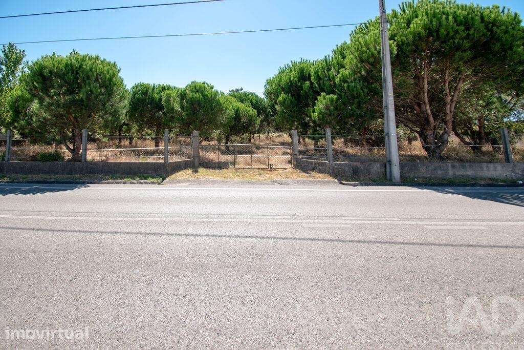Terreno para construção em Marinha Grande - Grande imagem: 2/5
