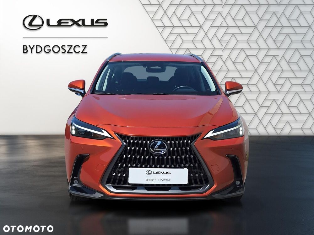 Lexus NX 350h Business AWD - 2