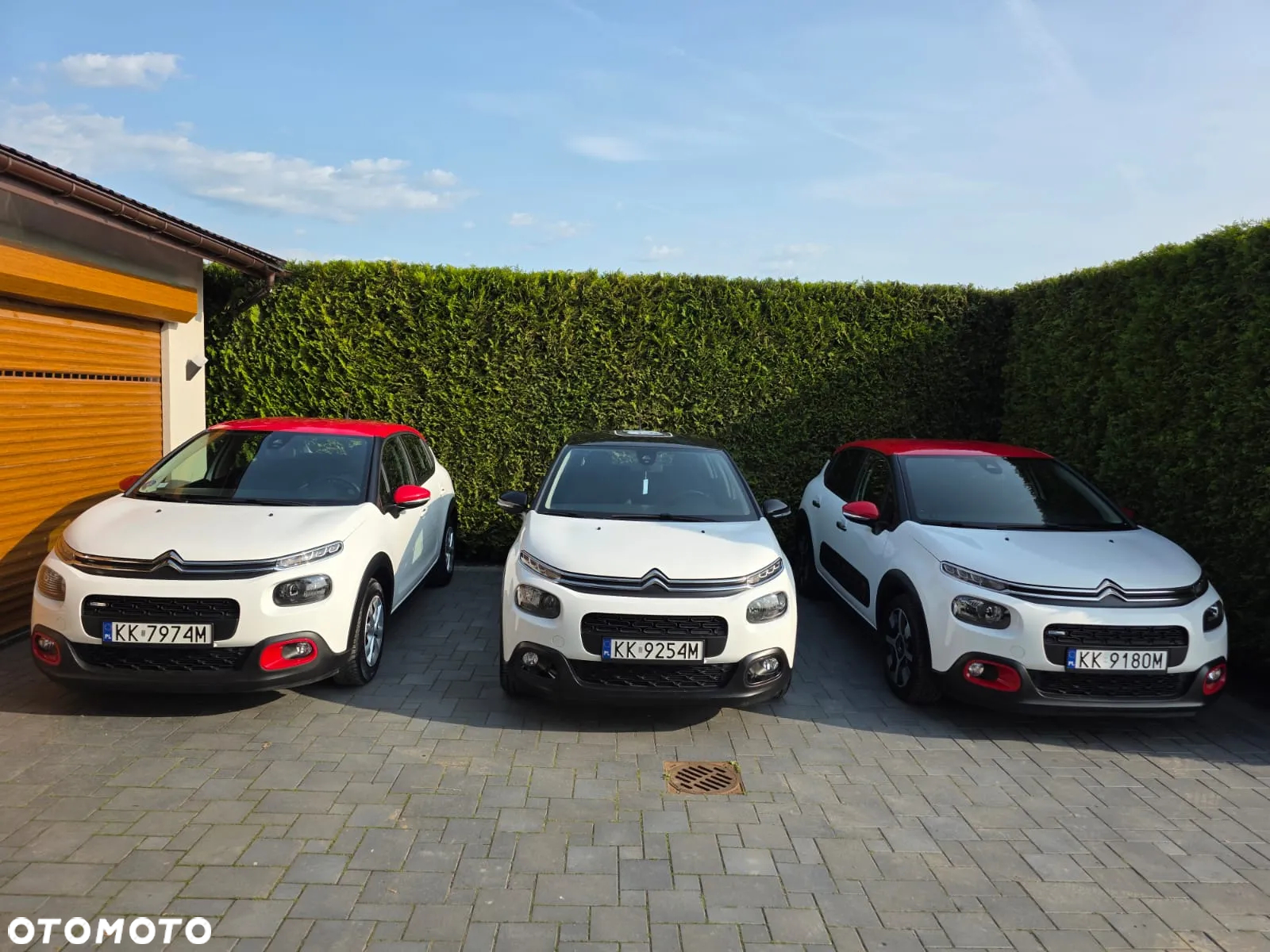 Citroën C3 1.2 PureTech Shine S&S - 30