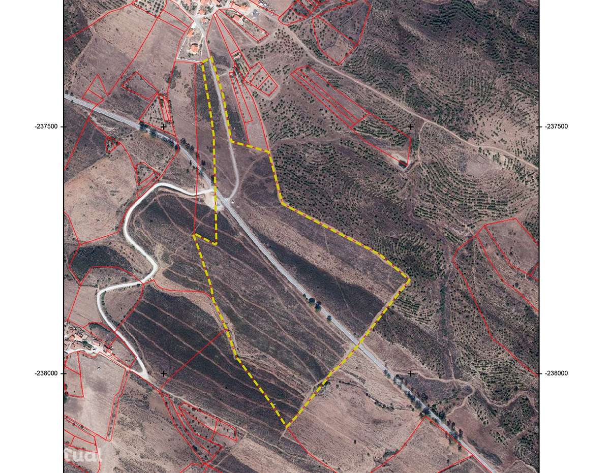 Terreno Rústico  Venda em Espírito Santo,Mértola - Grande imagem: 2/12