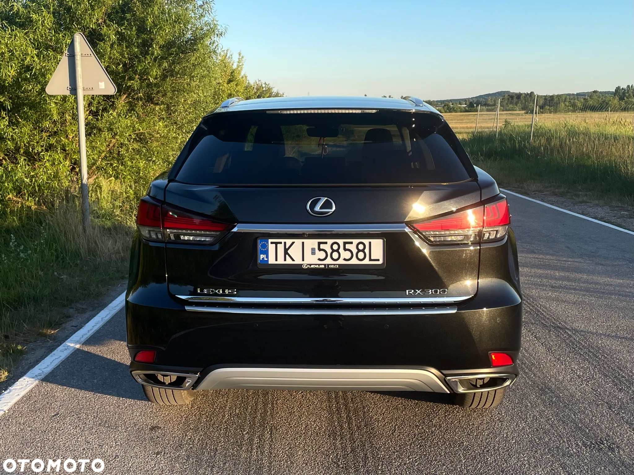 Lexus RX 300 Business Edition + - 4