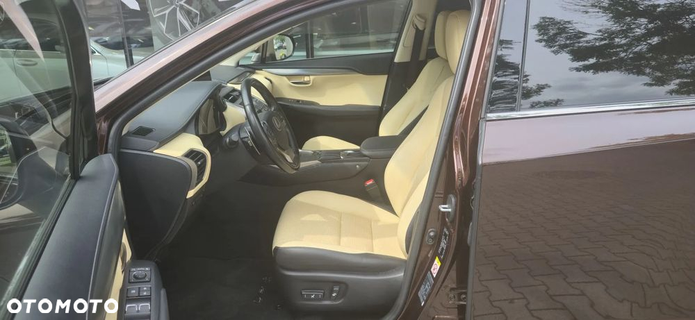 Lexus NX 300h Comfort AWD - 15