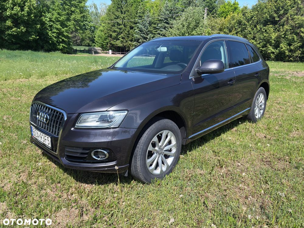 Audi Q5 - 2