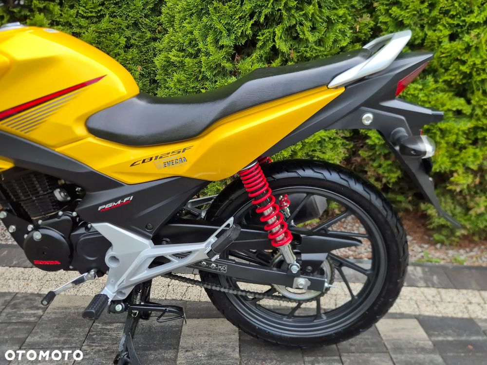 Honda CBF - 18