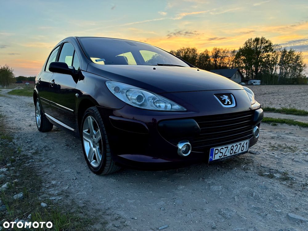 Peugeot 307 2.0 XT - 4