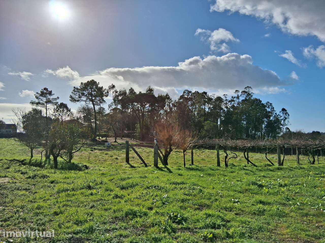 Terreno para agricultura com ou sem apoio empresarial - Grande imagem: 2/2
