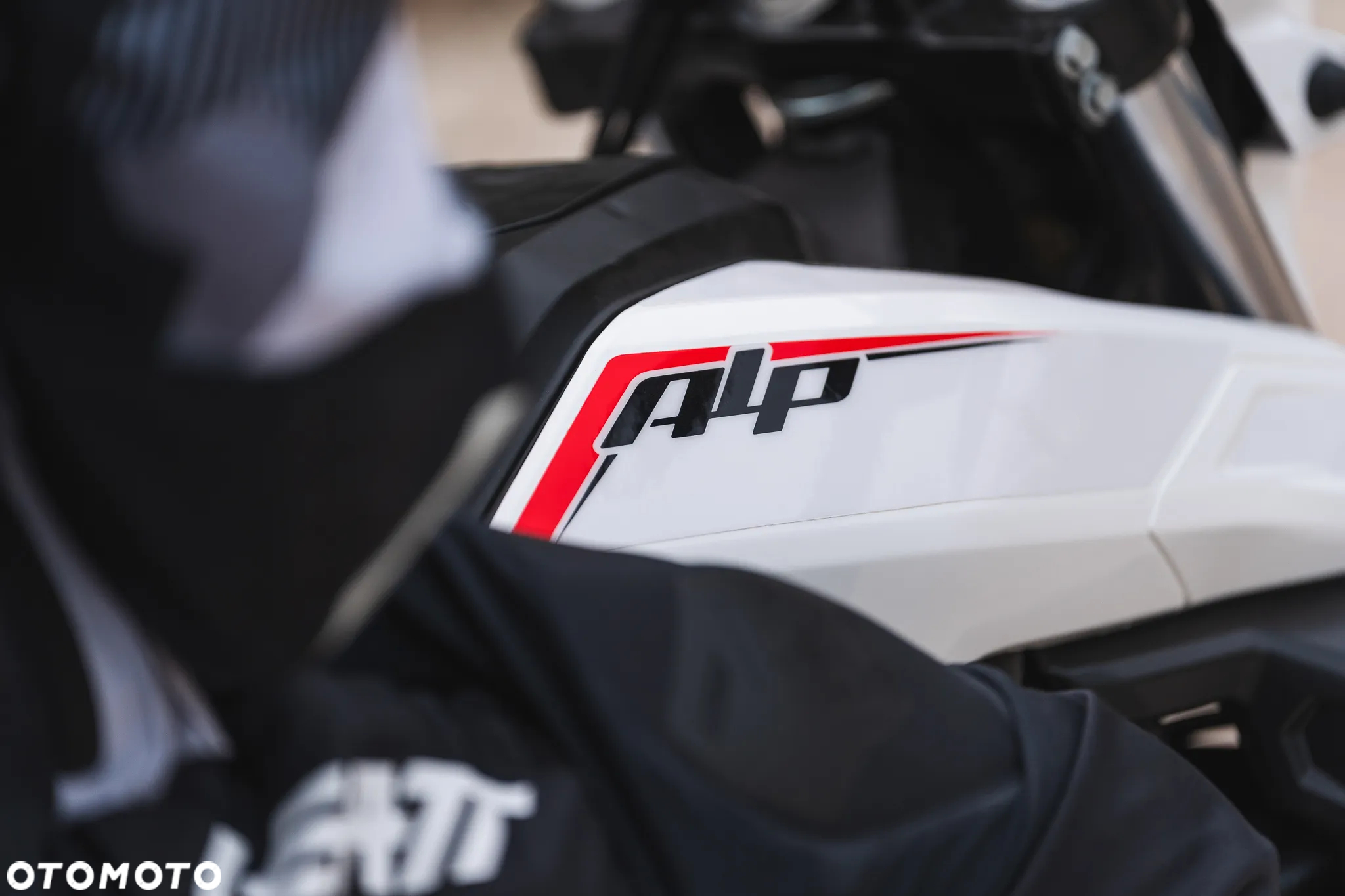 Beta Alp - 17