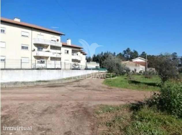 Terreno Valongo do Vouga - Grande imagem: 5/5