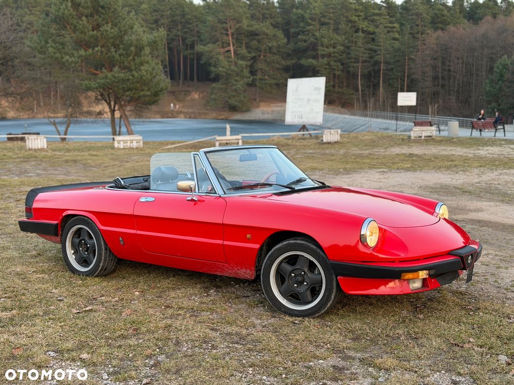 Alfa Romeo Spider - 3