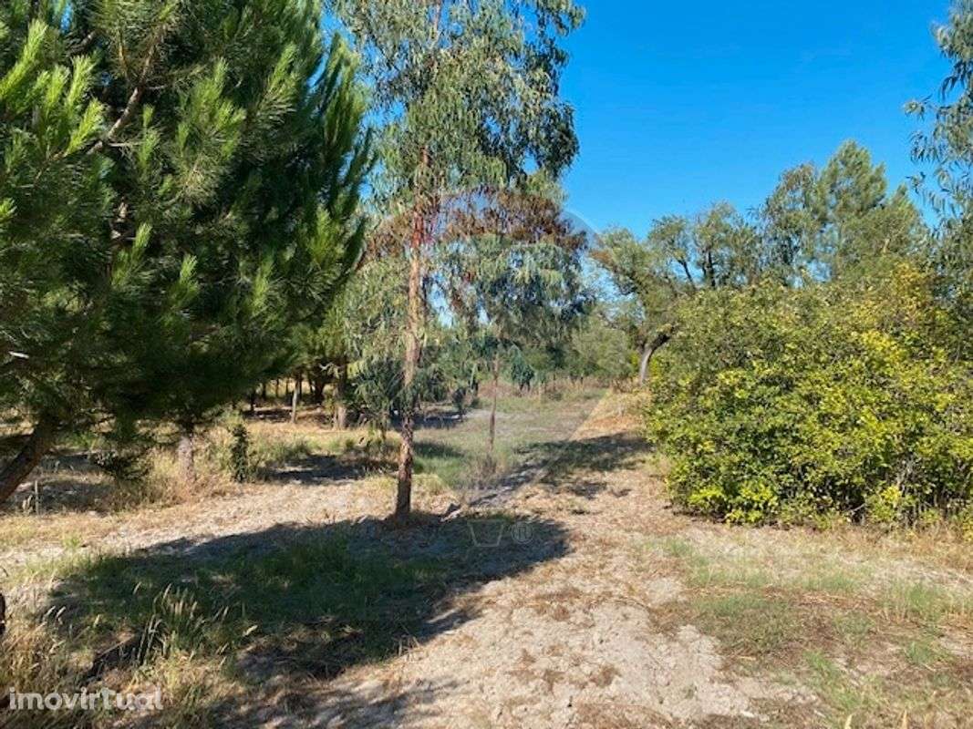 Terreno  para venda - Grande imagem: 2/6