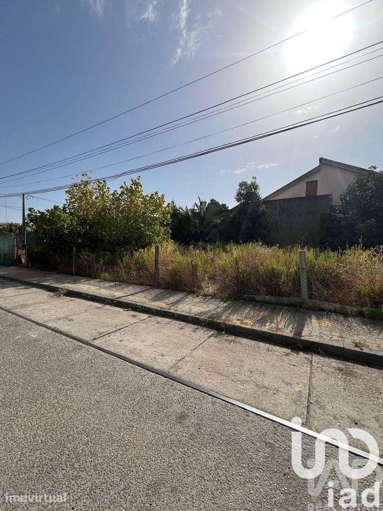 Terreno Agrícola em Amora - Grande imagem: 2/8