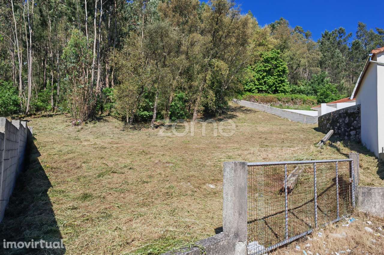 Terreno com Potencial de Construção – Fajões, Oliveira de Azeméis... - Grande imagem: 5/15