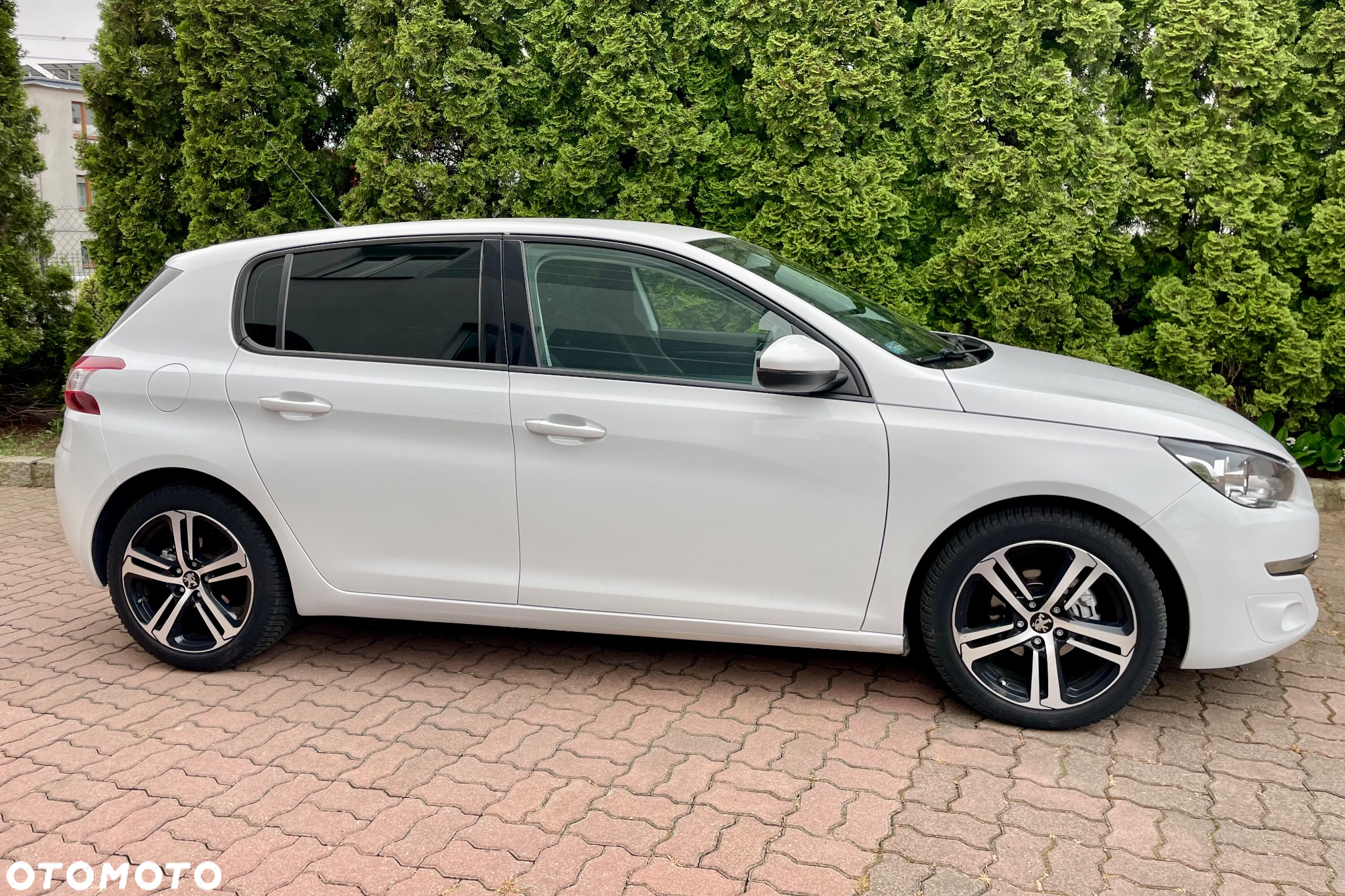 Peugeot 308 SW 1.6 BlueHDi Active S&S - 3